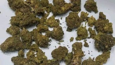 إحباط محاولتي تهريب كمية من مخدري الماريجوانا والحشيش بمطار الغردقة