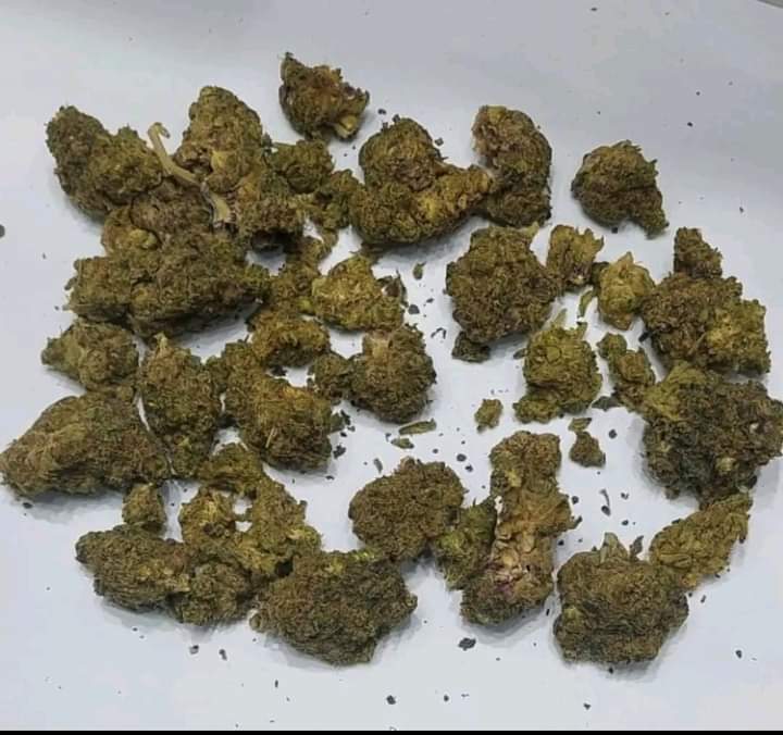 إحباط محاولتي تهريب كمية من مخدري الماريجوانا والحشيش بمطار الغردقة