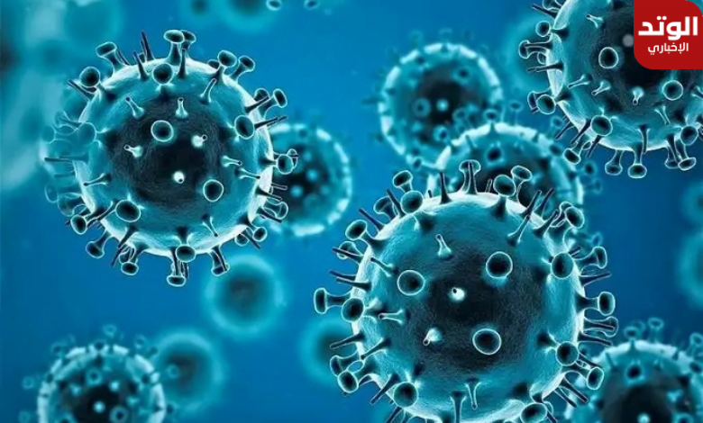 طرق الوقاية من متحور فيروس كورونا الجديد JN 1
