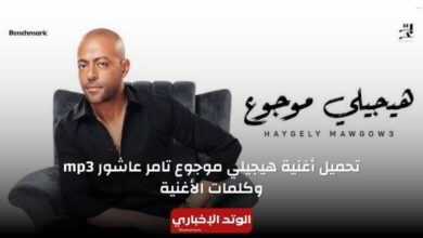 تحميل أغنية هيجيلي موجوع تامر عاشور mp3.. وكلمات الأغنية كاملة