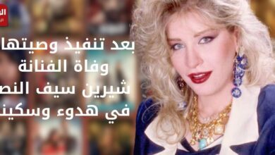 الفنانة شيرين سيف النصر